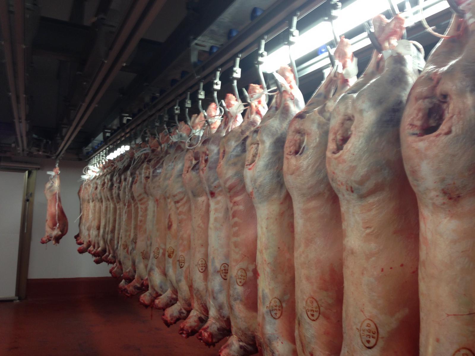 Processus d'abattage